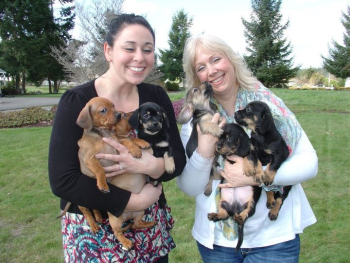 Me-and-Michelle-puppies